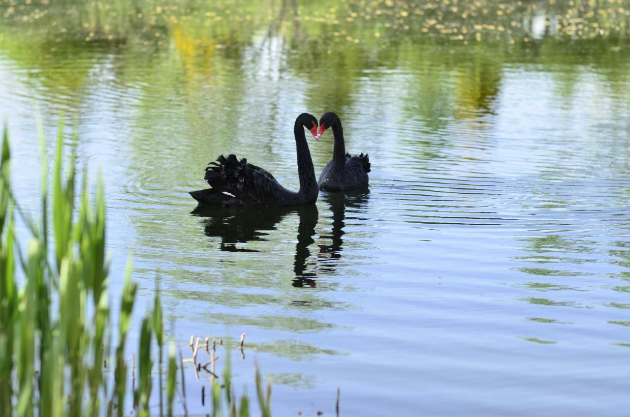 Dom Na Wodzie Mazury Villa Dzwierzuty Buitenkant foto